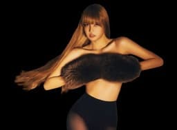 LISA press photo